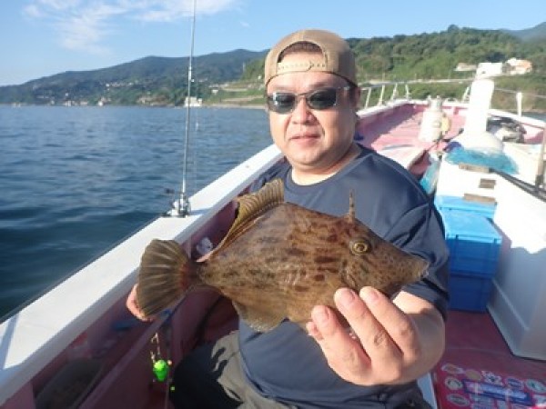 今期初のカワハギ狙いで。辛抱強く頑張って皆さん数匹釣ることができました。サムネイル