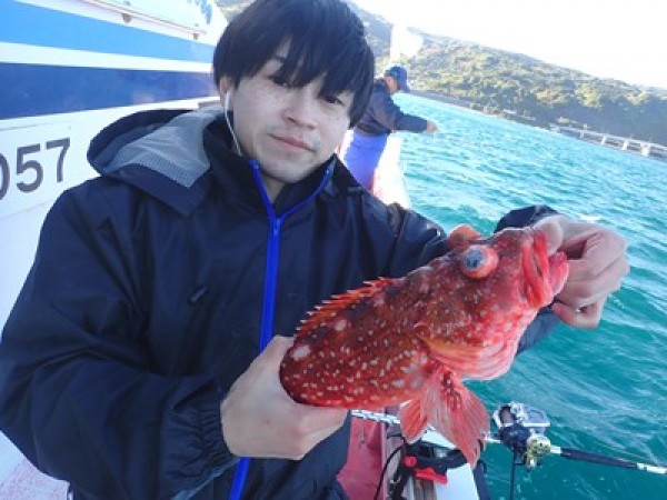 コマセ五目と根魚五目で。小アジとウルメイワシ少々、イナダは逃し、カンパチとウスバハギが釣れました。他、シロムツ、クロムツ、ユメカサゴ、ウッカリカサゴ、スミヤキも。サムネイル