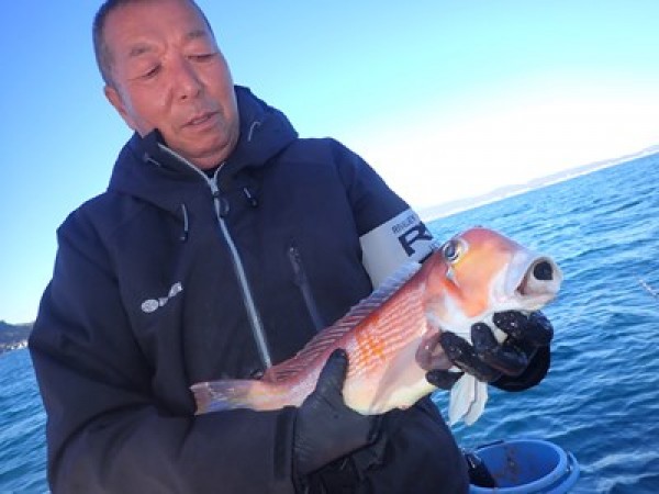 第六天の皆さん、コマセ五目で。小アジ調子よく、良型のサバ、ヒラソウダも。中型、良型のアマダイあがりました。他、イトヨリ、イズカサゴ、アヤメカサゴ、オキメバルなど。サムネイル