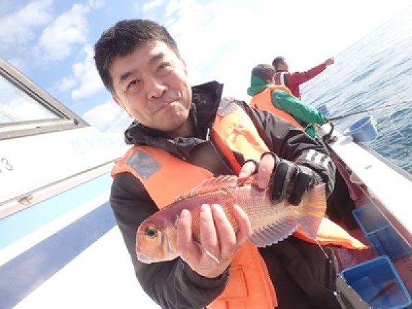 今日も釣り船です。アジは小型、深場ではアマダイも。他、サバ、イトヨリ、イズカサゴ、ヒメコダイ、トラギス。サムネイル