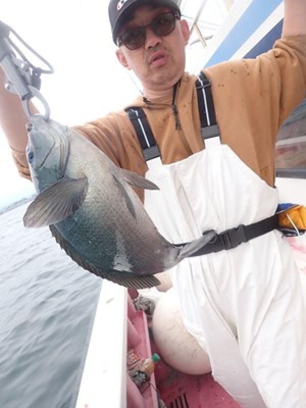今日の釣り船はアタリ続かず、渋い一日。終盤メジナの群れに当たり2，3枚釣る人も。サムネイル