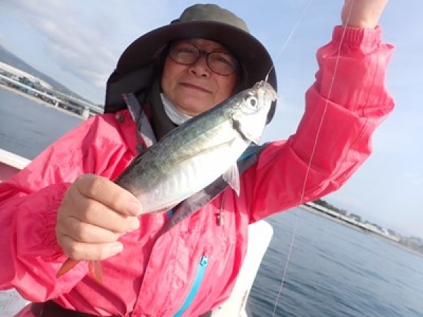 水戸浜会の皆さん、コマセ五目で。今日はアタリが増えました。良型アジ、カタクチイワシ、カサゴ。深場ではウッカリカサゴ、メダイ、アマダイ、シキシマハナダイ、中サバも。サムネイル
