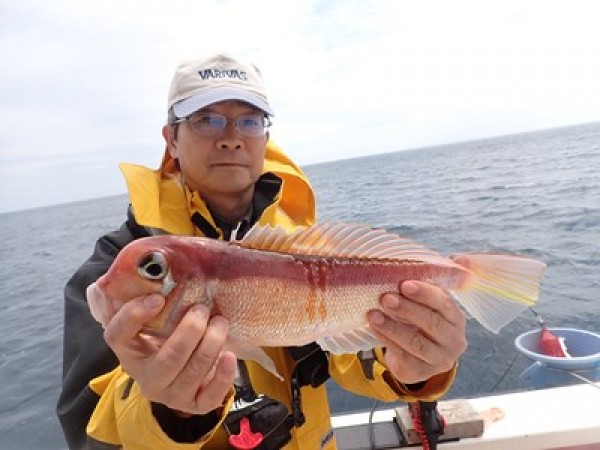 今日もコマセ五目で。深場でサバ。他、アマダイ、カサゴなど釣れました。サムネイル